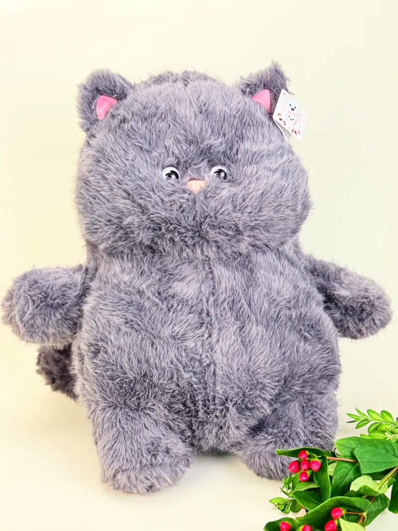 Большой кот