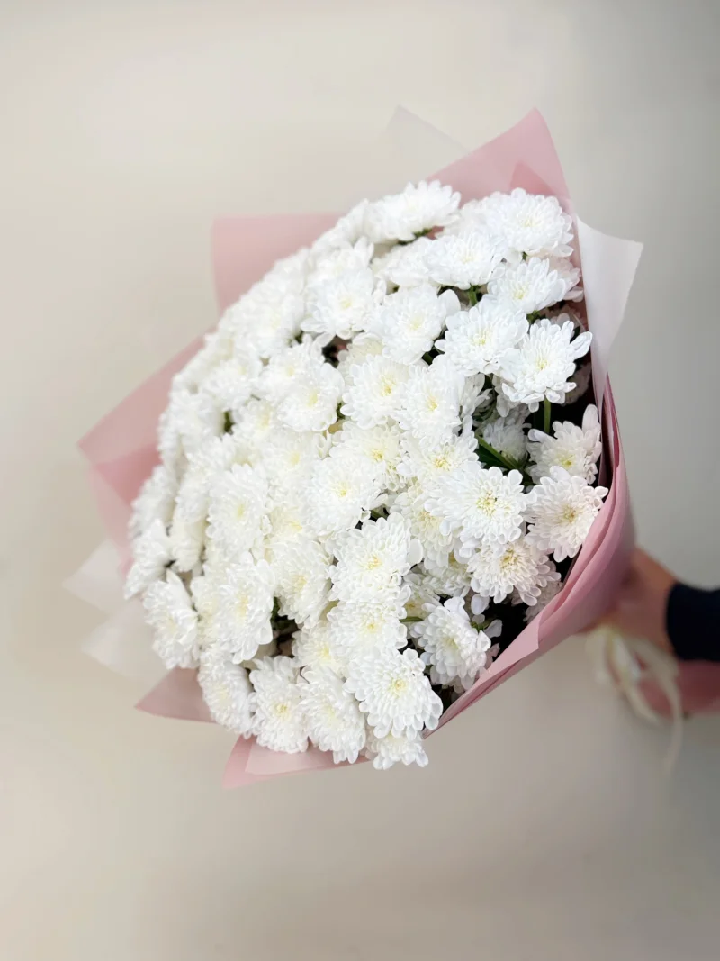 Кустовые хризантемы, 15 шт